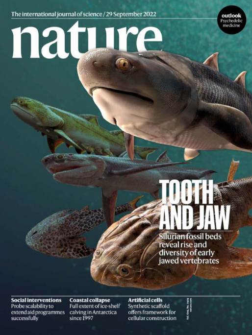 Nature 权威自然杂志 2022年9月29日 pdf-1