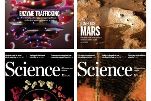 【合集】Science 权威科学杂志 2016-2022 pdf
