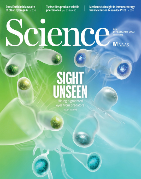 Science 权威科学杂志 2023年2月17日刊 pdf-1