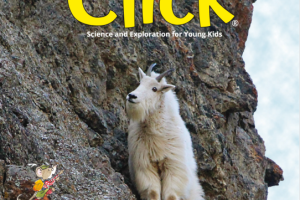 Click 点击世界儿童科学探险杂志 2023年2月刊 pdf