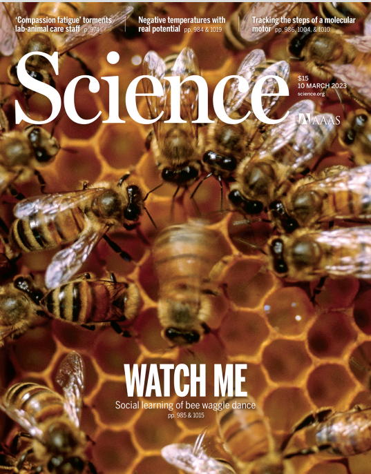 Science 权威科学杂志 2023年3月10日刊 pdf-1
