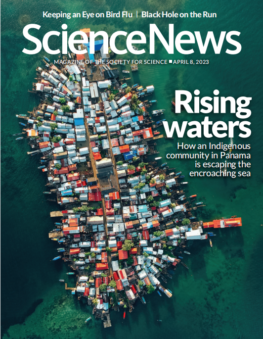 Science News 科学新闻杂志 2023年4月8日刊 pdf-1