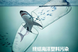 Caixin Weekly 财新周刊 2023年5月8日第18期 终结海洋塑料垃圾 pdf