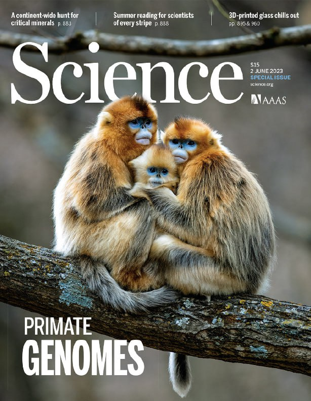 Science Magazine 科学杂志 2023年6月2号