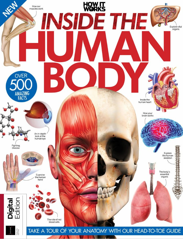 How It Works Inside The Human Body – 12th Edition 2023