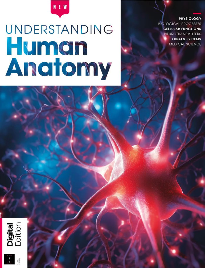 How It Works Understanding Human Anatomy - 1st Edition 2023-1