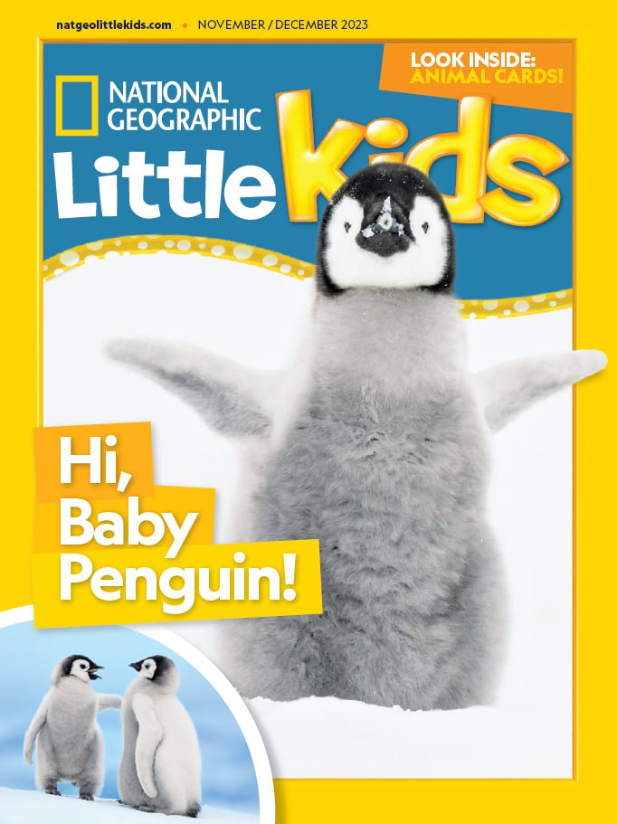 National Geographic Little Kids. 202311-12-1