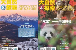 大自然探索杂志 2023年3、4月合集 pdf